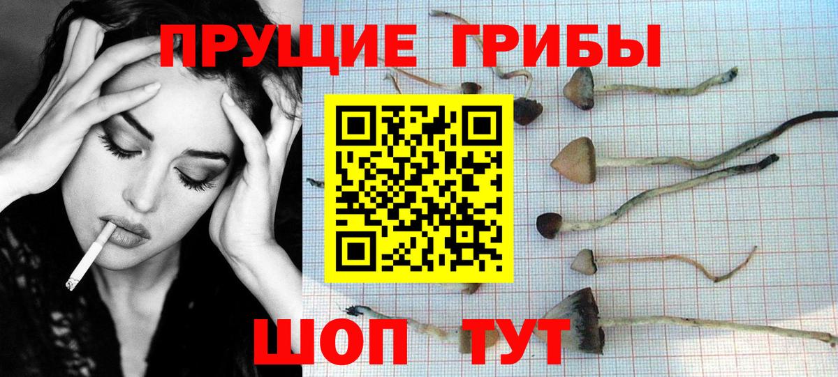 Галлюциногенные грибы мухоморы  Галлюциногенные грибы прущие грибы  Вход с VPN  Моздок 