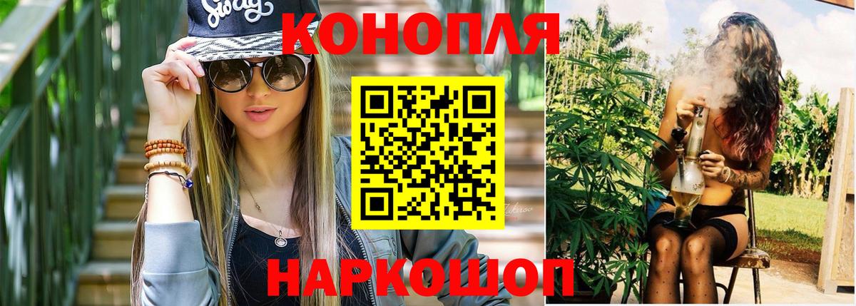 Шишки марихуана сатива  Марихуана план  Вход с VPN  Каннабис White Widow  Моздок 